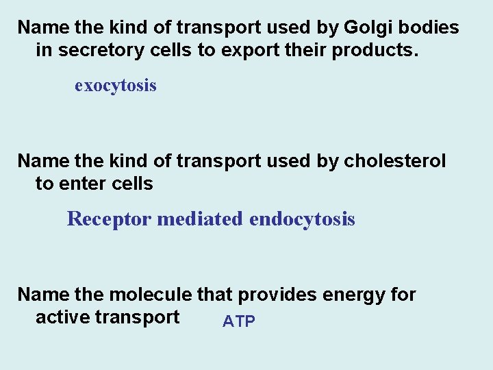 Name the kind of transport used by Golgi bodies in secretory cells to export