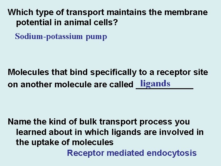 Which type of transport maintains the membrane potential in animal cells? Sodium-potassium pump Molecules