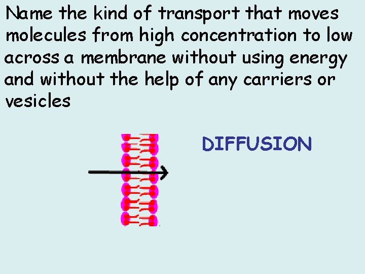 Name the kind of transport that moves molecules from high concentration to low across