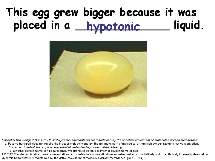 This egg grew bigger because it was placed in a _______ liquid. hypotonic Essential