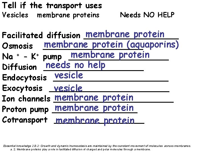 Tell if the transport uses Vesicles membrane proteins Needs NO HELP membrane protein Facilitated