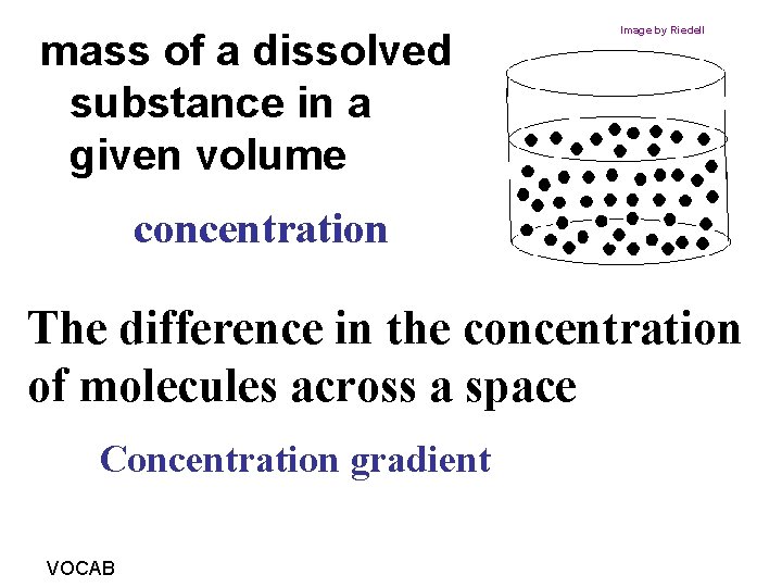 mass of a dissolved substance in a given volume Image by Riedell concentration The