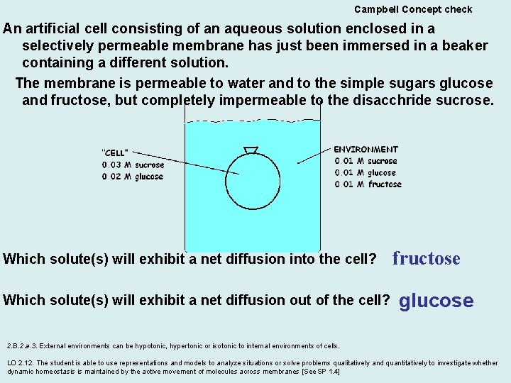 Campbell Concept check An artificial cell consisting of an aqueous solution enclosed in a