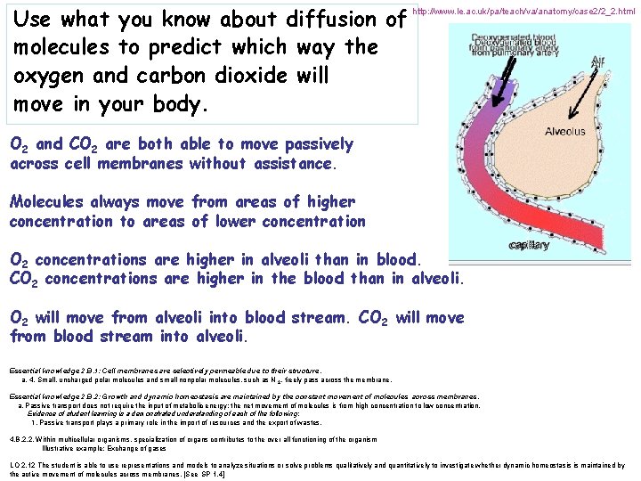 Use what you know about diffusion of molecules to predict which way the oxygen