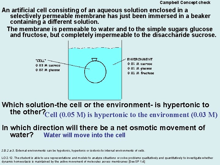 Campbell Concept check An artificial cell consisting of an aqueous solution enclosed in a