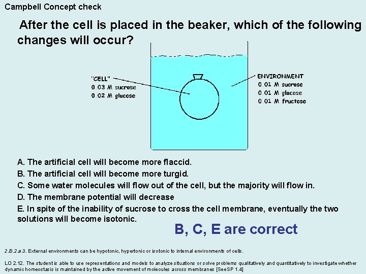 Campbell Concept check After the cell is placed in the beaker, which of the