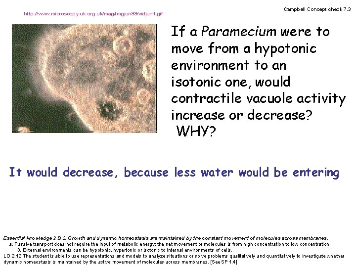 http: //www. microscopy-uk. org. uk/mag/imgjun 99/vidjun 1. gif Campbell Concept check 7. 3 If