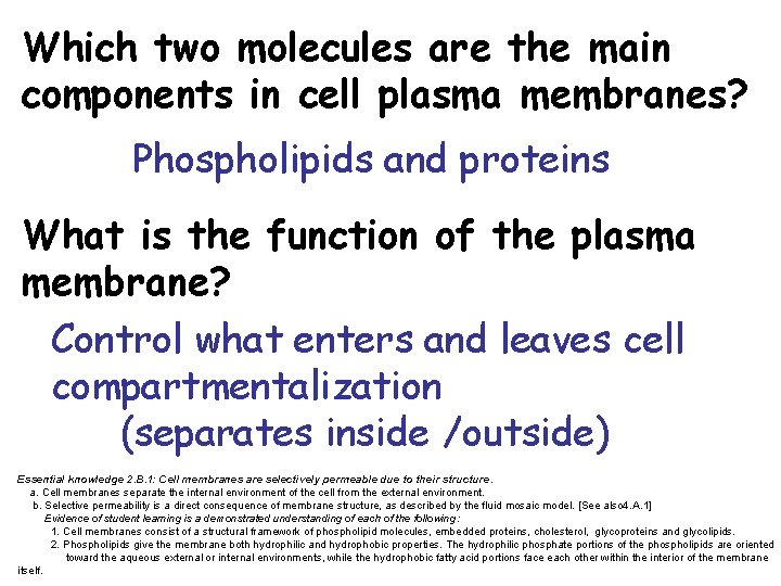 Which two molecules are the main components in cell plasma membranes? Phospholipids and proteins