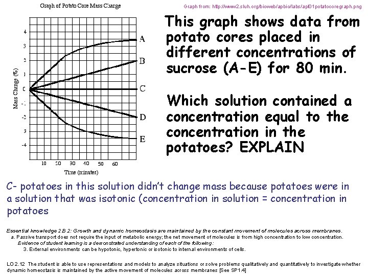 Graph from: http: //www 2. sluh. org/bioweb/apbio/labs/apl 01 potatocoregraph. png hypertonic This graph shows