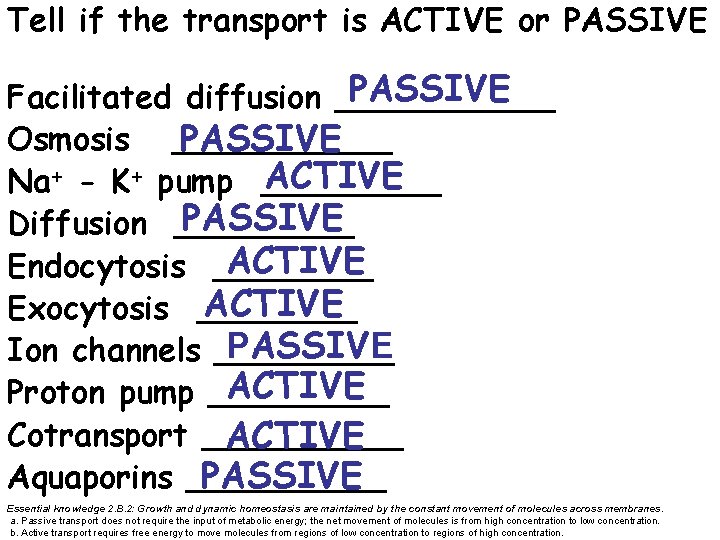 Tell if the transport is ACTIVE or PASSIVE Facilitated diffusion ______ Osmosis ______ PASSIVE