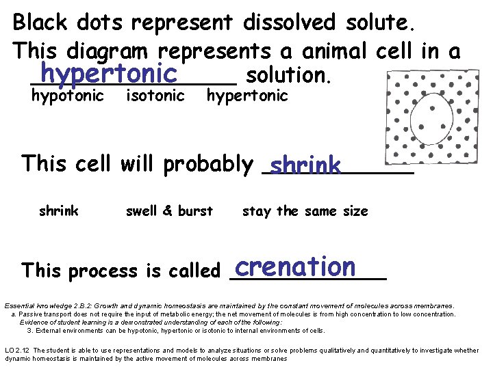 Black dots represent dissolved solute. This diagram represents a animal cell in a hypertonic