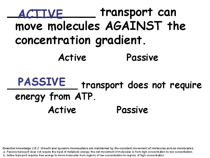 ______ transport can ACTIVE move molecules AGAINST the concentration gradient. Active Passive PASSIVE ______