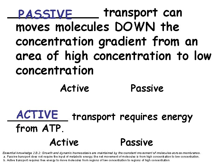______ transport can PASSIVE moves molecules DOWN the concentration gradient from an area of