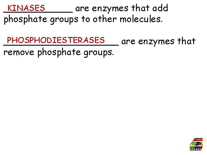KINASES ______ are enzymes that add phosphate groups to other molecules. PHOSPHODIESTERASES __________ are