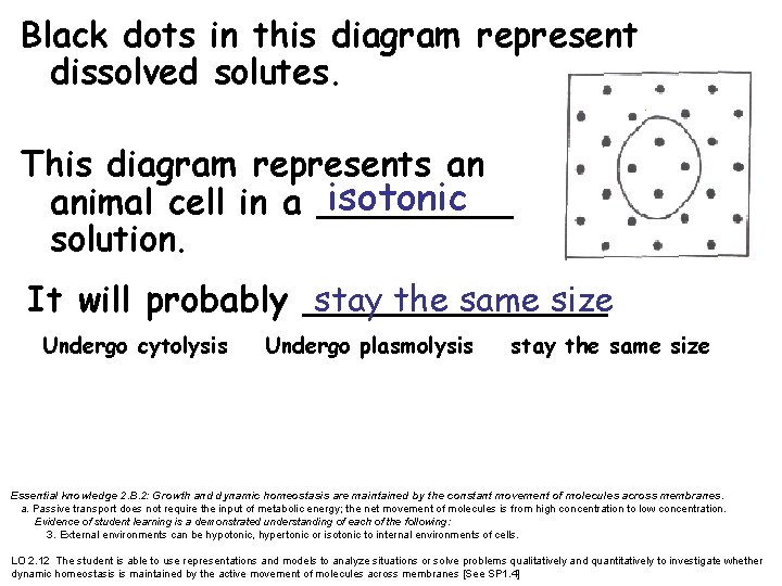 Black dots in this diagram represent dissolved solutes. This diagram represents an isotonic animal