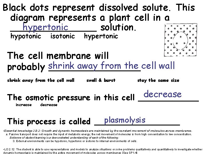 Black dots represent dissolved solute. This diagram represents a plant cell in a hypertonic