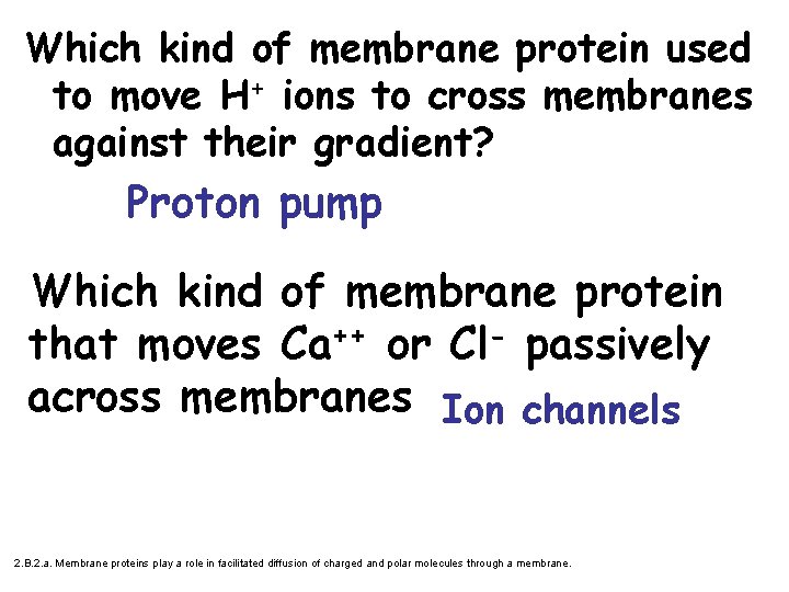 Which kind of membrane protein used to move H+ ions to cross membranes against