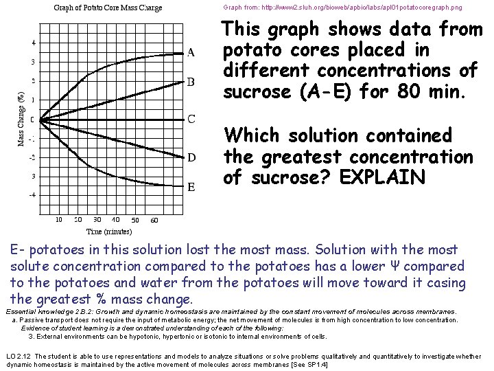 Graph from: http: //www 2. sluh. org/bioweb/apbio/labs/apl 01 potatocoregraph. png hypertonic This graph shows