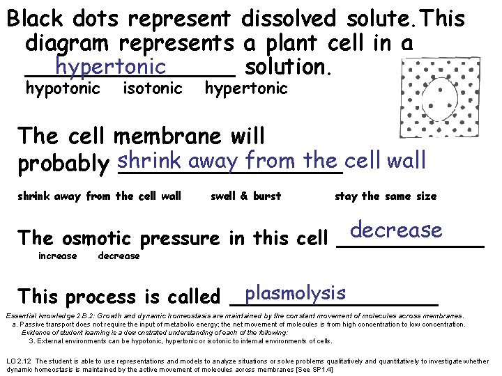 Black dots represent dissolved solute. This diagram represents a plant cell in a hypertonic