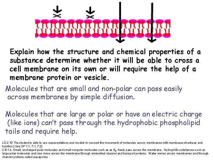 Explain how the structure and chemical properties of a substance determine whether it will