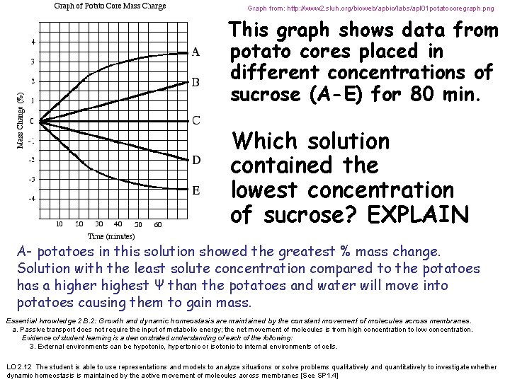 Graph from: http: //www 2. sluh. org/bioweb/apbio/labs/apl 01 potatocoregraph. png hypertonic This graph shows