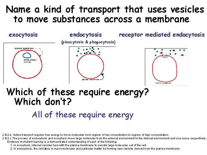 Name a kind of transport that uses vesicles to move substances across a membrane
