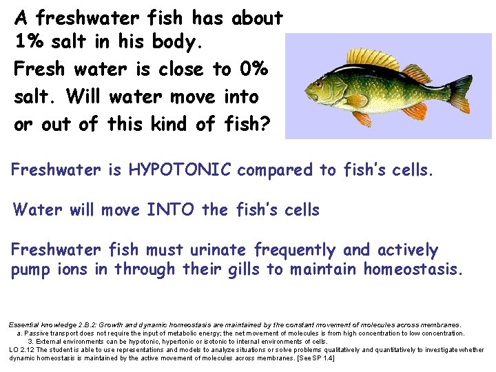 A freshwater fish has about 1% salt in his body. Fresh water is close