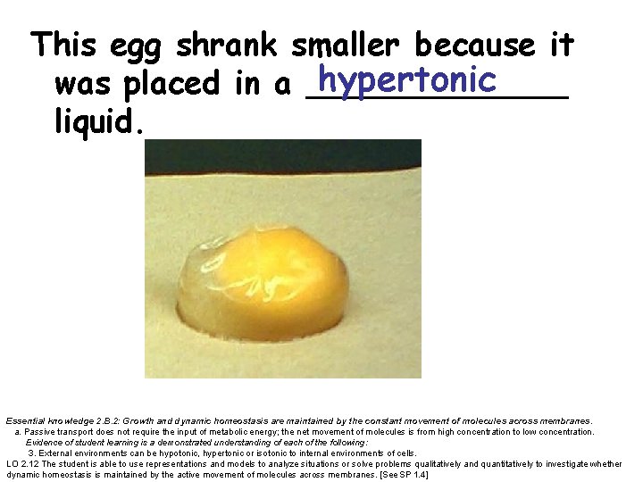This egg shrank smaller because it hypertonic was placed in a _______ liquid. Essential