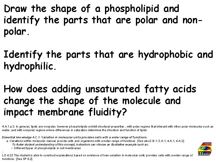 Draw the shape of a phospholipid and identify the parts that are polar and