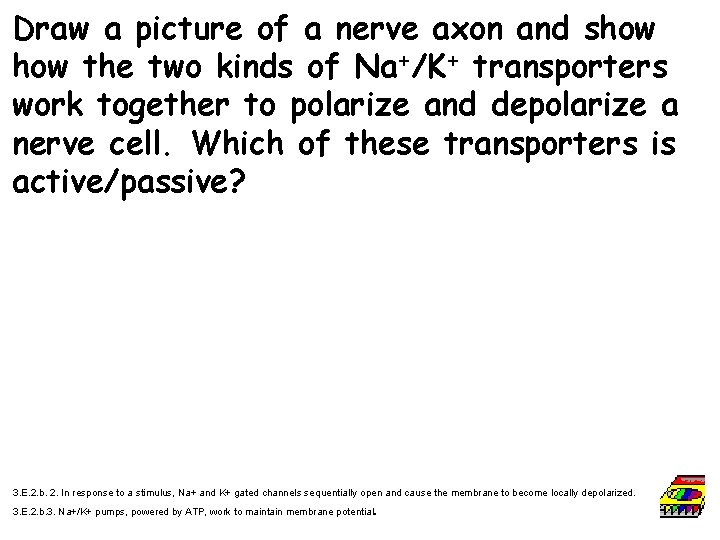 Draw a picture of a nerve axon and show the two kinds of Na+/K+