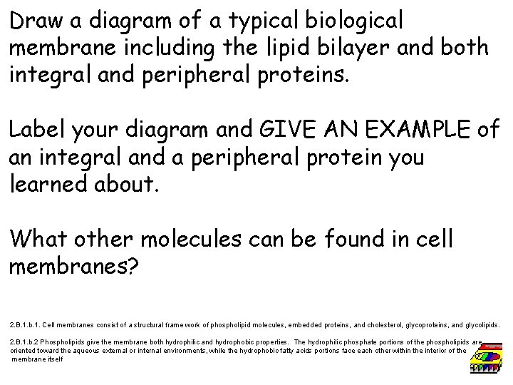 Draw a diagram of a typical biological membrane including the lipid bilayer and both