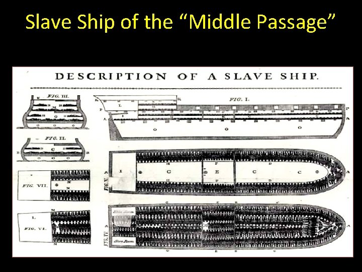 Slave Ship of the “Middle Passage” 