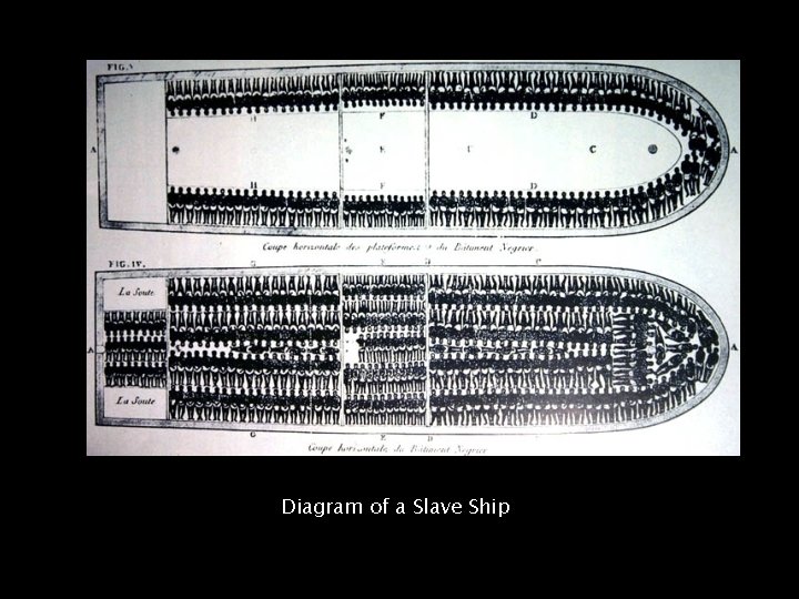 Diagram of a Slave Ship 
