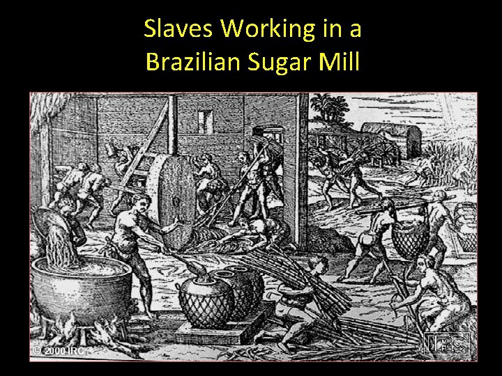 Slaves Working in a Brazilian Sugar Mill 