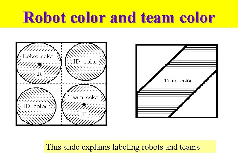 Robot color and team color This slide explains labeling robots and teams 