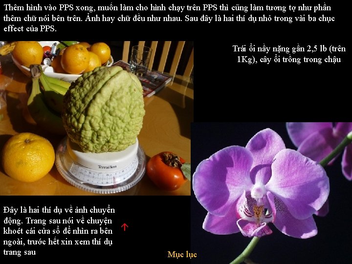 Thêm hình vào PPS xong, muốn làm cho hình chạy trên PPS thì cũng