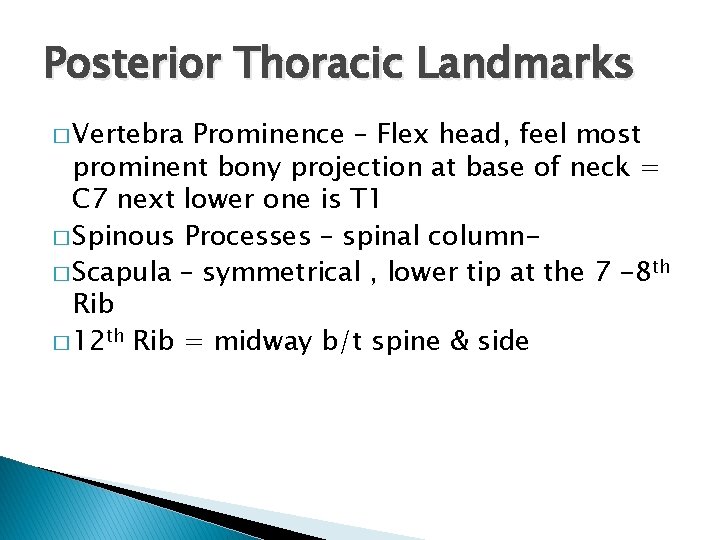 Posterior Thoracic Landmarks � Vertebra Prominence – Flex head, feel most prominent bony projection