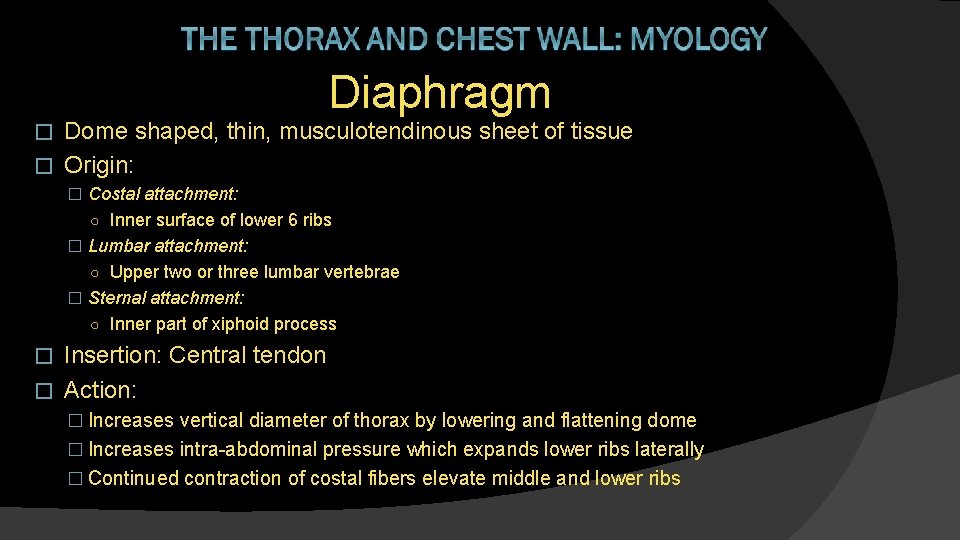 Diaphragm Dome shaped, thin, musculotendinous sheet of tissue � Origin: � � Costal attachment: