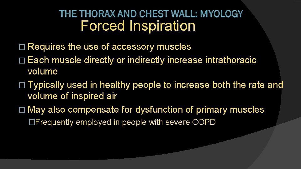 Forced Inspiration � Requires the use of accessory muscles � Each muscle directly or