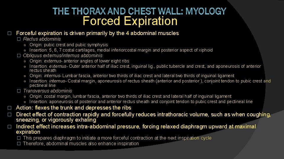 Forced Expiration � Forceful expiration is driven primarily by the 4 abdominal muscles �