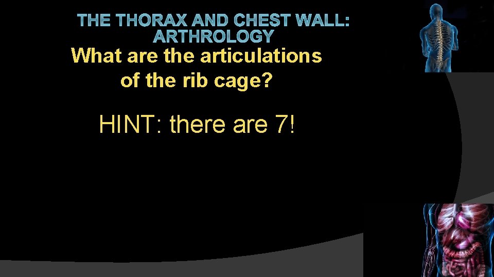 THE THORAX AND CHEST WALL: ARTHROLOGY What are the articulations of the rib cage?