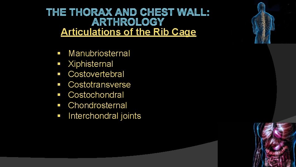 THE THORAX AND CHEST WALL: ARTHROLOGY Articulations of the Rib Cage § § §