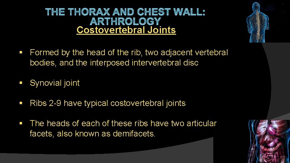 THE THORAX AND CHEST WALL: ARTHROLOGY Costovertebral Joints § Formed by the head of
