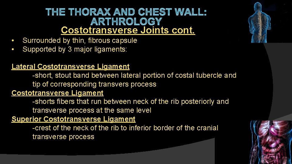 THE THORAX AND CHEST WALL: ARTHROLOGY Costotransverse Joints cont. • • Surrounded by thin,