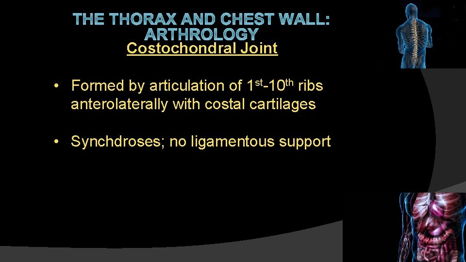 THE THORAX AND CHEST WALL: ARTHROLOGY Costochondral Joint • Formed by articulation of 1