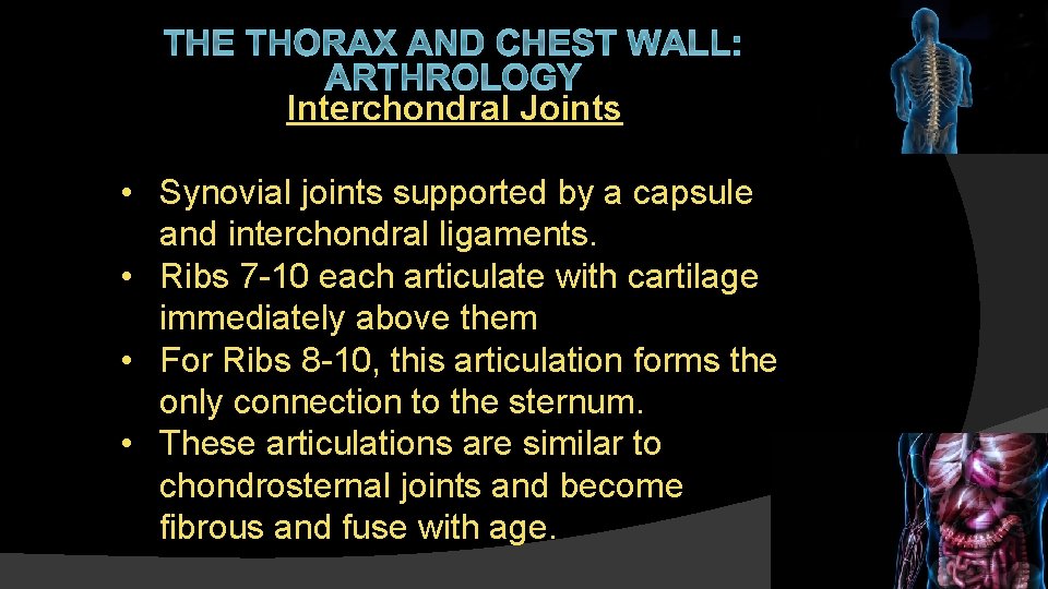 THE THORAX AND CHEST WALL: ARTHROLOGY Interchondral Joints • Synovial joints supported by a