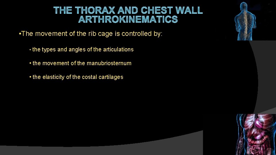 THE THORAX AND CHEST WALL ARTHROKINEMATICS • The movement of the rib cage is