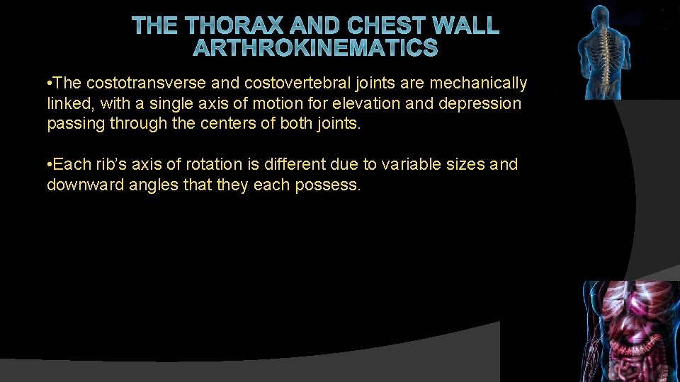 THE THORAX AND CHEST WALL ARTHROKINEMATICS • The costotransverse and costovertebral joints are mechanically