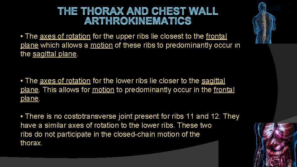 THE THORAX AND CHEST WALL ARTHROKINEMATICS • The axes of rotation for the upper