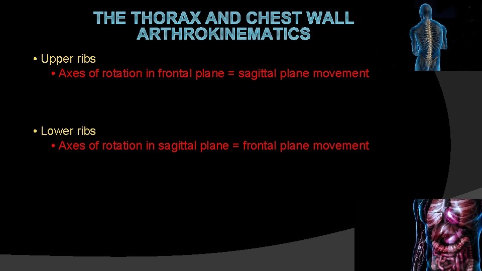 THE THORAX AND CHEST WALL ARTHROKINEMATICS • Upper ribs • Axes of rotation in